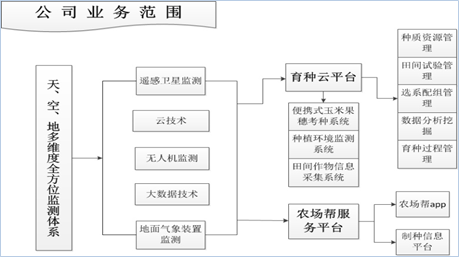 公司业务